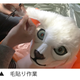 Illustration for article titled Turn Your Cats Face Into A Wearable Mask
